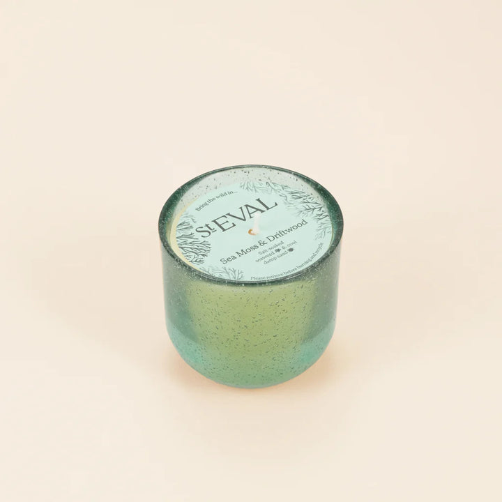 Sea Moss & Driftwood, Sea Garden Glass Candle