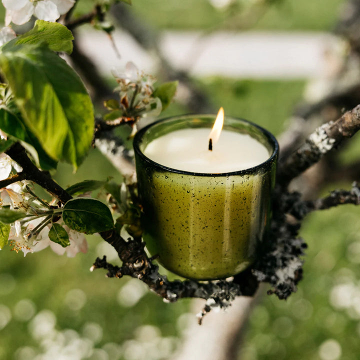 St Eval Walled Garden Sea Garden Pot Glass Candle