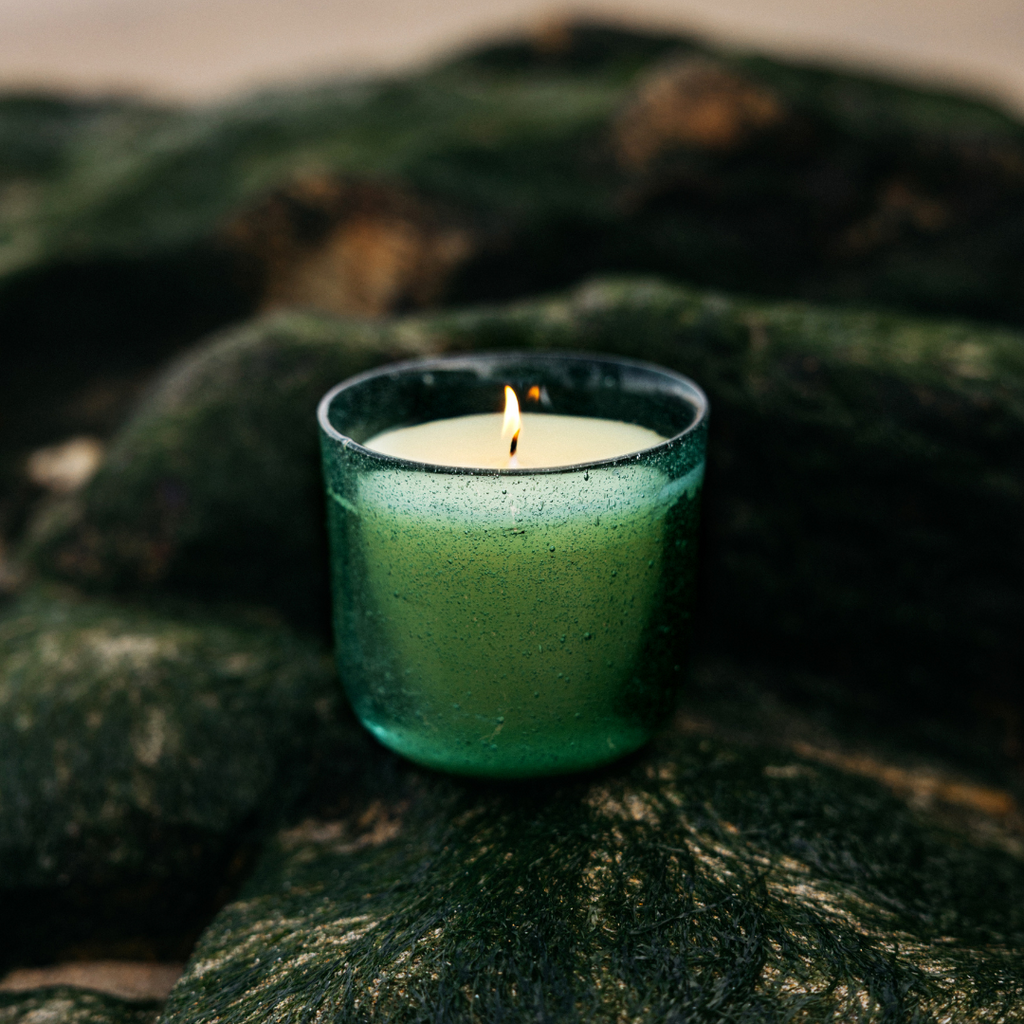 St Eval Bay Sea Moss & Driftwood, Sea Garden Glass Candle