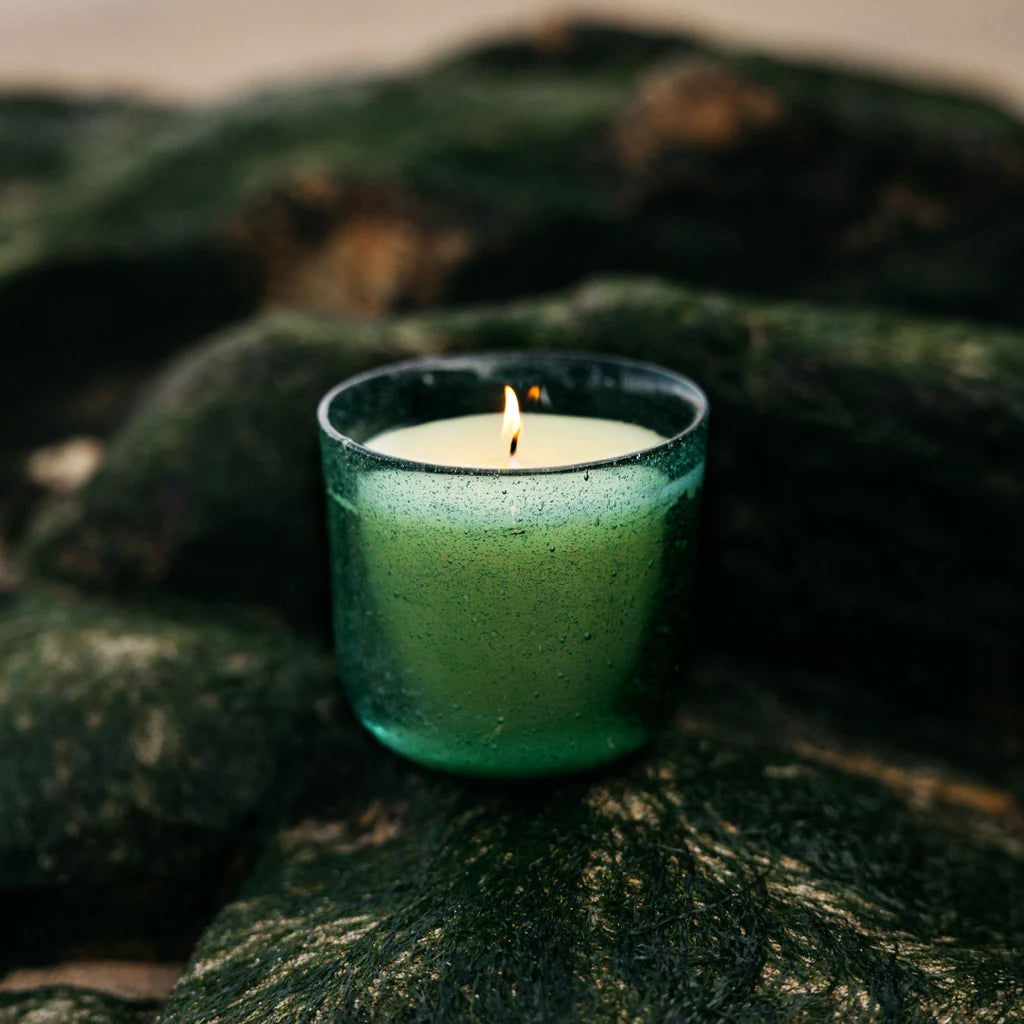 Sea Moss & Driftwood, Sea Garden Glass Candle