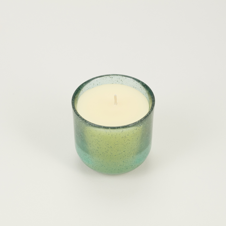 St Eval Bay Sea Moss & Driftwood, Sea Garden Glass Candle