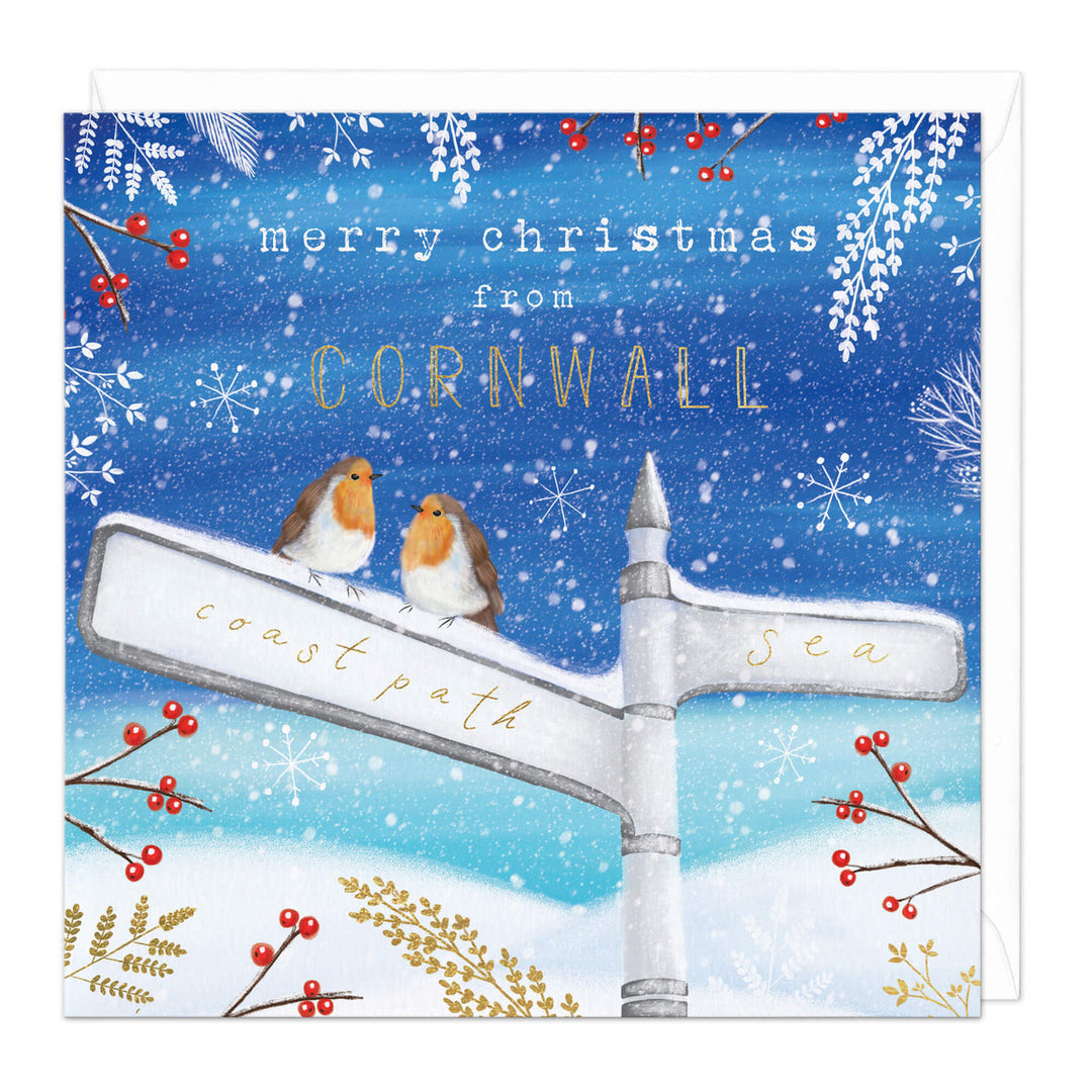 CORNWALL ROBINS CHRISTMAS CARD