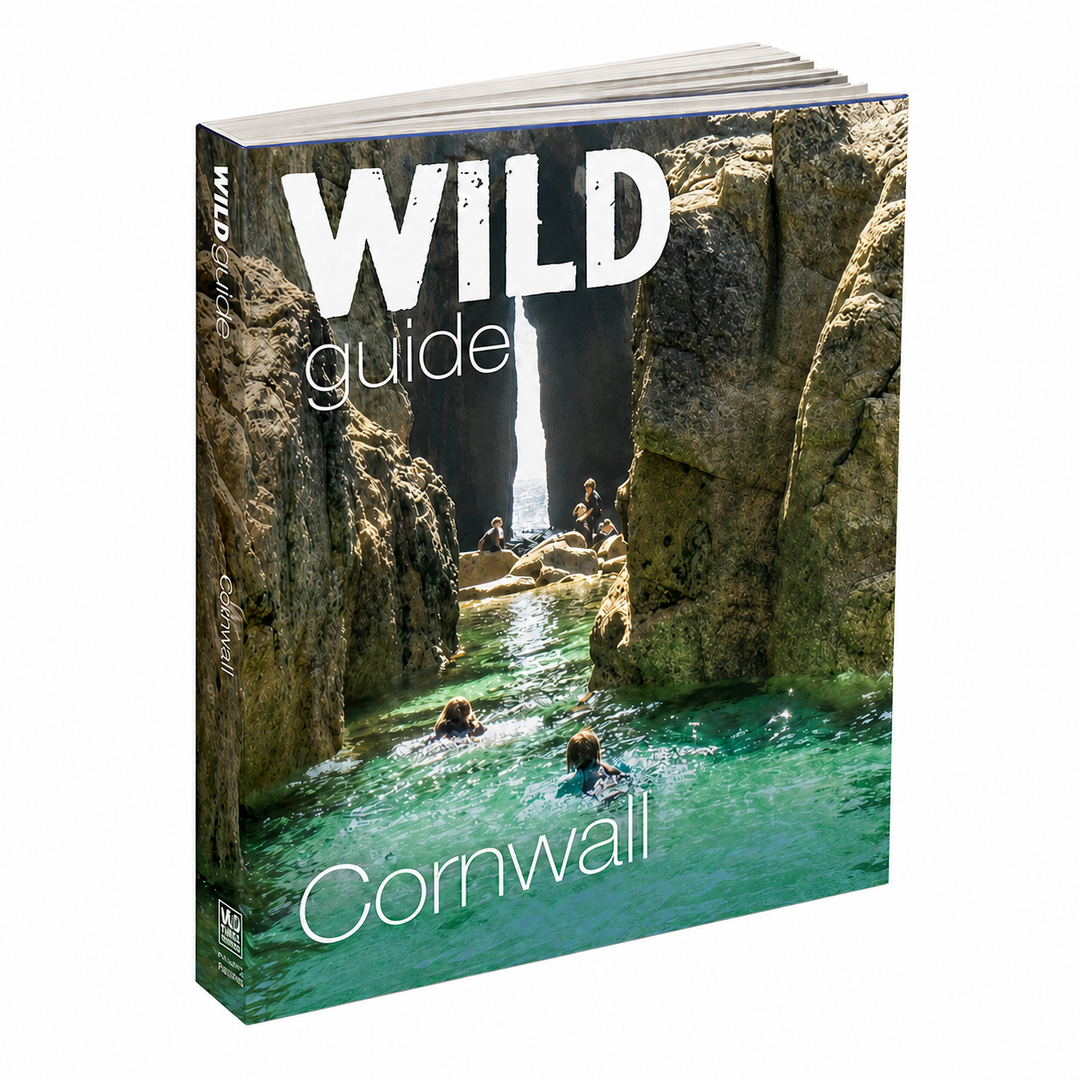 Wild Guide Cornwall