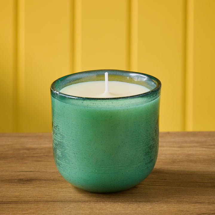 Sea Moss & Driftwood, Sea Garden Glass Candle